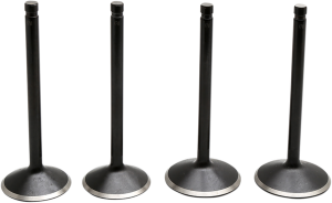 Engine Valve Kit