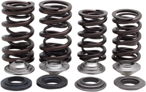 Valve Spring Kit