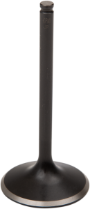 Black Diamond Engine Valve