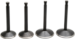Engine Valve Kit
