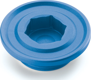 Ignition cover plug