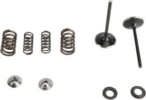 Stainless Steel Conversion Valve And Spring Kit