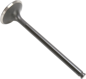 Black Diamond Engine Valve