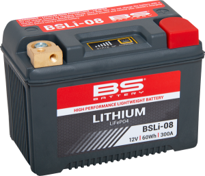 Lithium Lifepo4 Battery Black