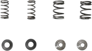 Valve Spring Kit