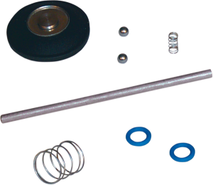 Accelerator Pump Rebuild Kit 
