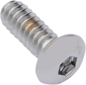 Replacement Button-head Bolts Silver, 2, nordicamoto.ro