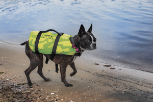 Pet Vest Green, Yellow, Hi-vis