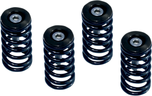 Clutch Spring Kit Black, Powder-coated, Anodized, 1, nordicamoto.ro