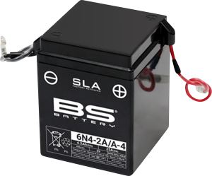 Sla Factory-activated Agm Maintenance-free Batteries White, Black