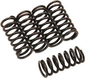 Clutch Spring Kit Black