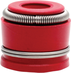 Valve Seals