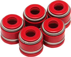 Valve Seals