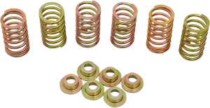 Clutch Spring Kit