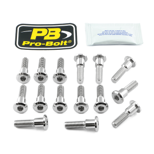 Brake Rotor Mounting Bolt Kit Silver