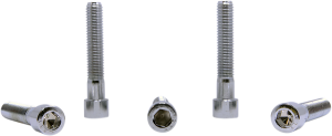 Replacement Socket Head Bolts Silver, 1, nordicamoto.ro