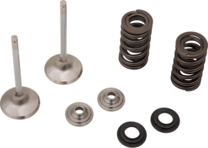 Stainless Exhaust Valve And Spring Kit, 2, nordicamoto.ro
