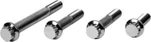 Bolt Kit,frt Calpr 06vrod Silver