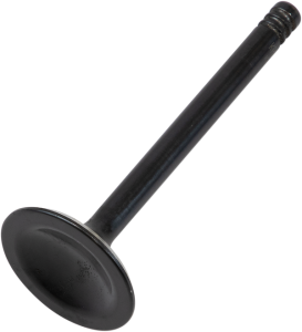 Black Diamond Engine Valve