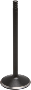 Black Diamond Engine Valve