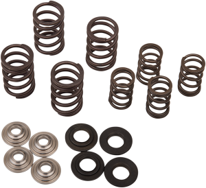 Valve Spring Kit