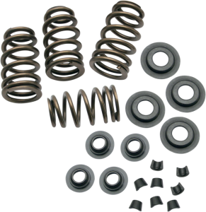 Sidewinder® .650(r) Valve Spring Kit