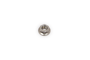 Nut Silver 