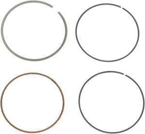8559886096-0