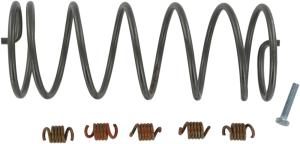 Economy Clutch Kit