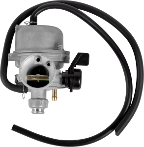 Replacement Carburetor