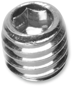 Securing Screw