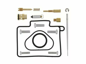 Carburator Rebuild Kit 