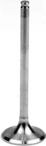 INTAKE VALVE