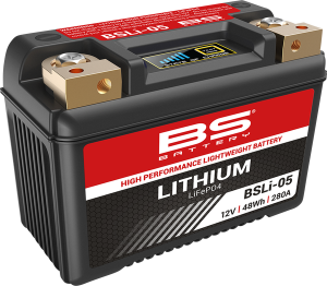 Lithium Lifepo4 Battery Black