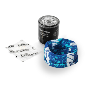 ANSAMBLU FILTRU DE ULEI PENTRU MOTOR, nordicamoto.ro