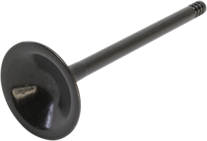 Nitrided Valve