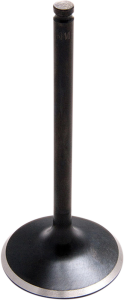 Black Diamond Engine Valve