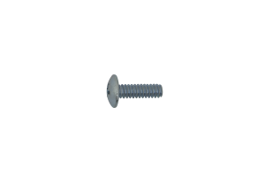 Screw Silver