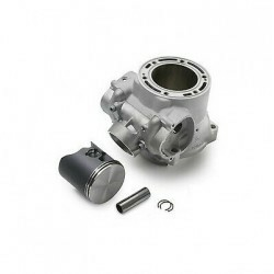 CYLINDER + PISTON CPL.    2012