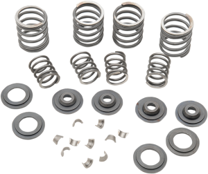 Valve Spring Kit