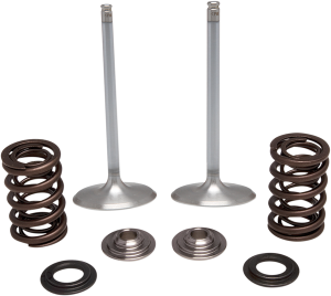 Stainless Steel Conversion Valve And Spring Kit