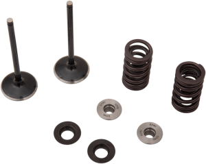 Stainless Intake Valve And Spring Kit