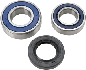Chain Case Bearing And Seal Kit