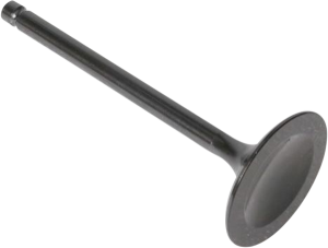 Black Diamond Engine Valve