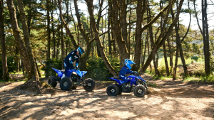 ATV YAMAHA YFZ50 PENTRU COPII, 13, nordicamoto.ro