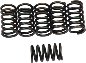 Clutch Spring Kit Black