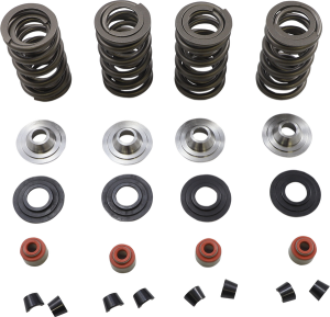 Lightweight Racing Valve Spring Kit, 1, nordicamoto.ro