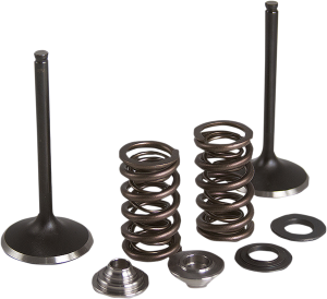 Stainless Steel Conversion Valve And Spring Kit, 1, nordicamoto.ro