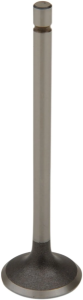 Engine Valve
