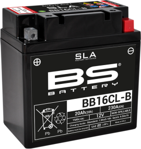 Sla Factory-activated Agm Maintenance-free Batteries Black